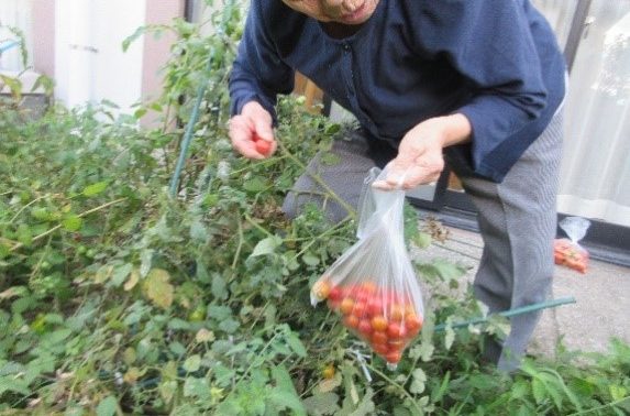 セントケアきみつ看護小規模多機能