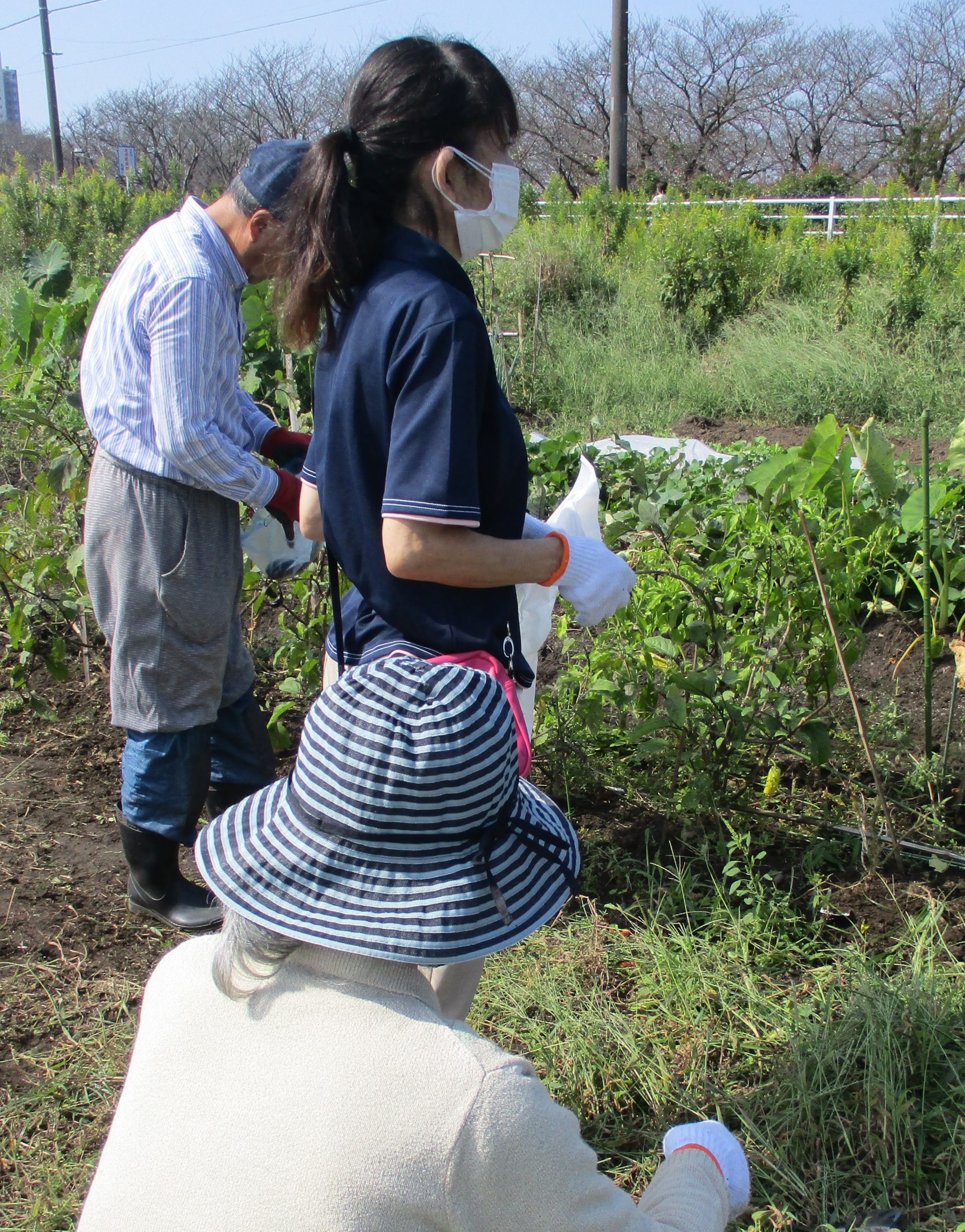 セントケア夏見　小規模多機能