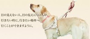 ～『バジル』のタカラモノ～