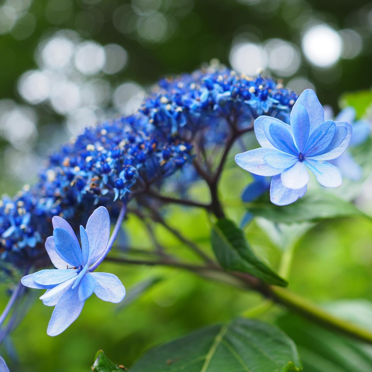 感謝とエール！！