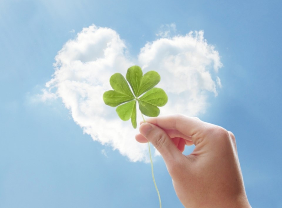 小さなきっかけ　～四葉のクローバー～