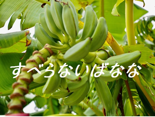 オハナ🌷のすべらないハナシ